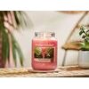 Yankee Candle Classic vonná svíčka The Last Paradise, 411 g