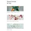 Cereria Mollá - Parfémované mýdlo Black Orchid & Lily 100 g, krémová