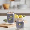 Yankee Candle - Signature vonná sviečka Black Tea & Lemon, 368g