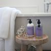 Max Benjamin - Dárková sada tekuté mýdlo a mléko na ruce a tělo True Lavender 2x300ml