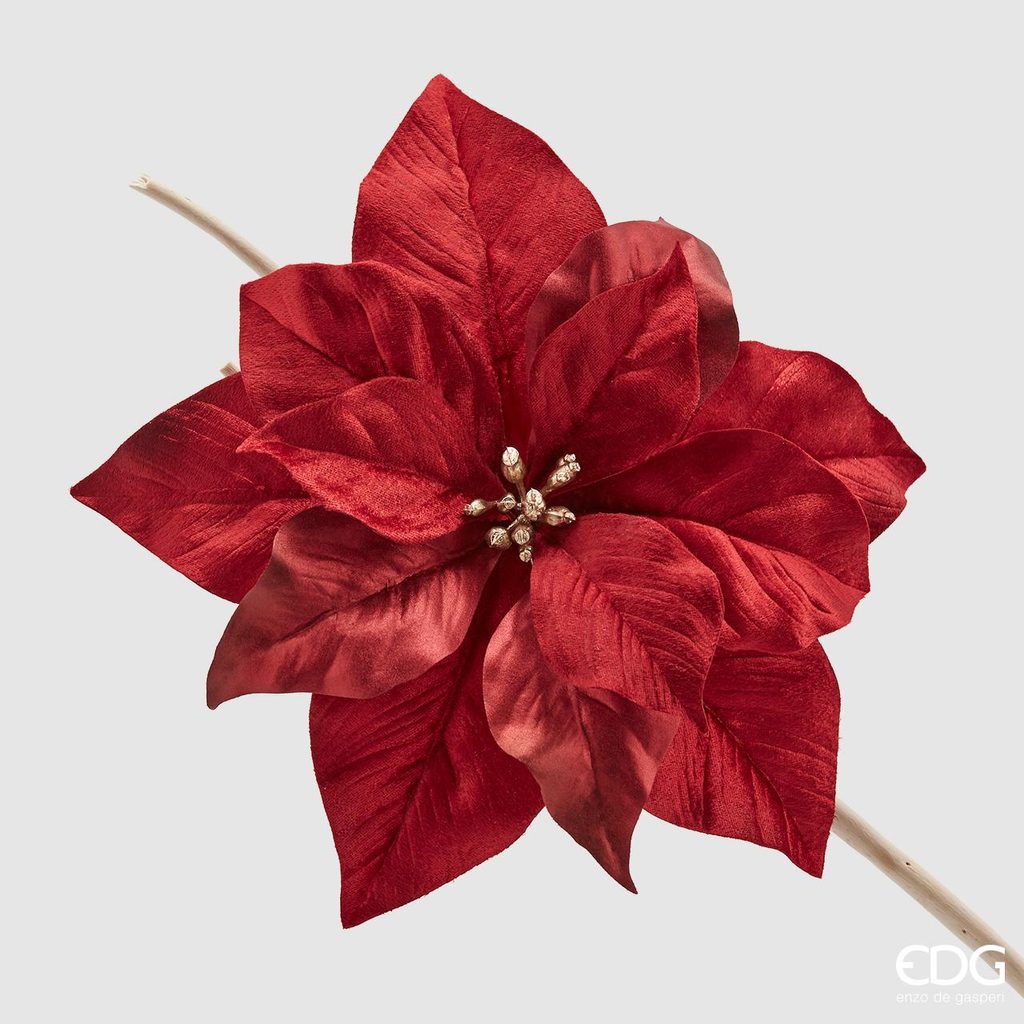 Homedesignshop.cz - Vánoční hvězda na klipu červená, 30 cm - EDG - Vánoční  umělé květiny - Vánoce - Eshop s interierovými doplňky