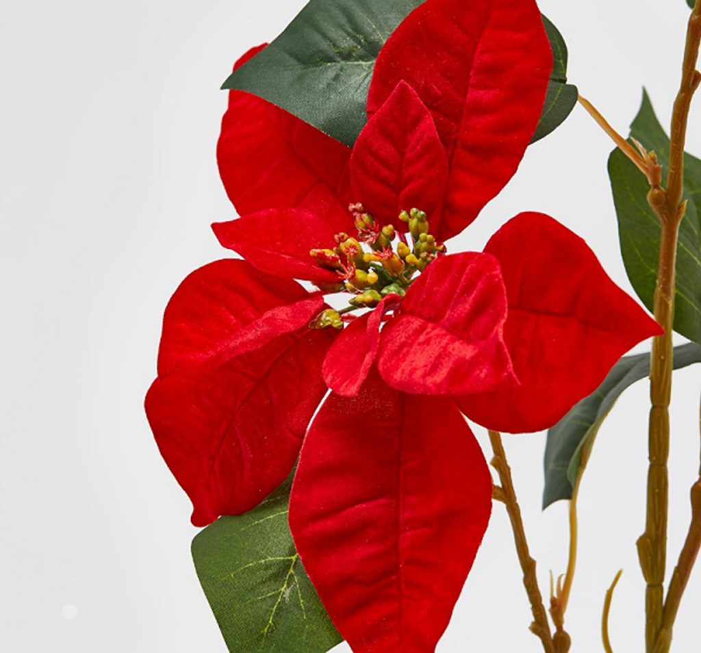 Homedesignshop.cz - Květina vánoční hvězda červená, 76 cm - EDG - Vánoční  umělé květiny - Vánoce - Eshop s interierovými doplňky