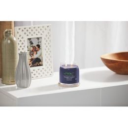 Yankee Candle - votivní svíčka Sweet Plum Sake 49 g