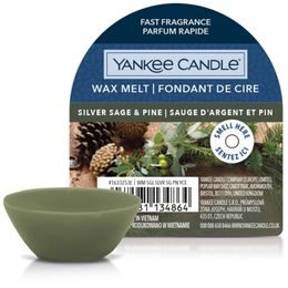 Yankee Candle - Vonný vosk Silver Sage & Pine, 22 g