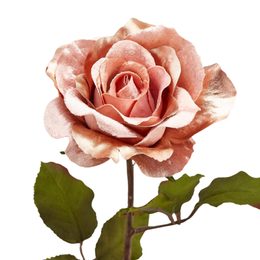 Větvička paprade ružová, 80 cm