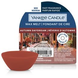 Yankee Candle - vonný vosk Autumn Daydream, 22 g