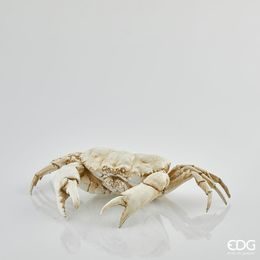 Dekorace krab krémový, 12x46x28 cm