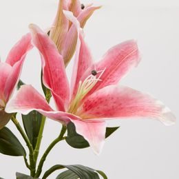 Umělá květina v bílém květináči orchidej růžová, 50 cm