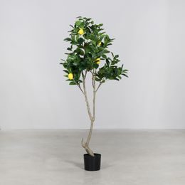 Umělý rostlina citronovník v černém květináči, 150 cm