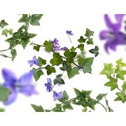 Millefiori Milano - ICON náplň vône do auta Magnolia Blossom and Wood, 1 ks