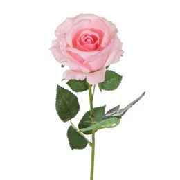 Ruže na vysokom stonke ružová, 70 x 8 cm