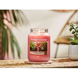 Yankee Candle - votívny sviečka Cliffside Sunrise, 49 g