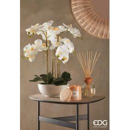 Drevený lampáš v tvare domčeka biely 1ks, 29-95 cm