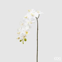 Homedesignshop.cz - Umělá květina větvička orchideje bílá, 58 cm - EDG -  Umělé květiny - Bytové doplňky - Eshop s interierovými doplňky