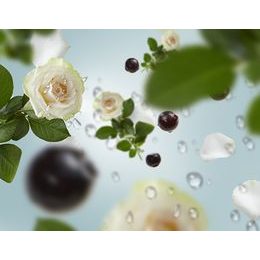 Maison Berger Paris - Náplň do difuzéru Proti zápachu z kuchyně – svěží květinová vůně, 200 ml