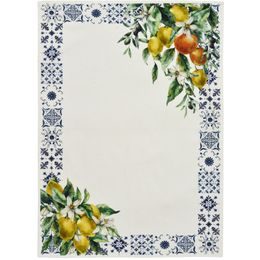 Kuchynská utierka Citrus Fruits 50x70 cm, Sander