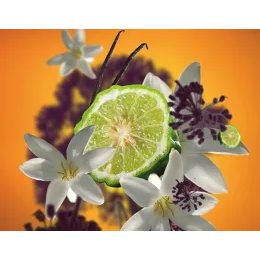 Aróma difuzér CUBE, Proti zvieraciemu zápachu - Ovocno-kvetinová vôňa, 125 ml