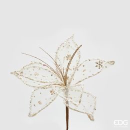 Vianočná hviezda kvetina biela / zlatá, 22 cm