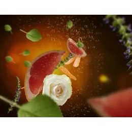 Maison Berger Paris - Náplň do difuzéru Proti zvířecímu zápachu – ovocno-květinová vůně, 200 ml