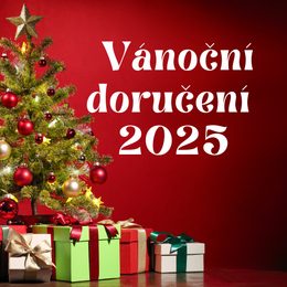 Vánoční doručení 2025 – vše, co potřebujete vědět 🎄