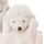 Plyšový ježko Hubert Baby biely/krémový 1ks, 15 cm