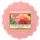 Yankee Candle vonný vosk Sun-Drenched Apricot Rose 22 g