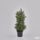 Umělá borovice v květináči zelená, 40 cm