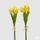 Umělá květina svazek tulipánů žlutý 1ks, 35 cm