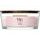 WoodWick - Rose Blush, svíčka loď 453.6 g