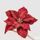 Vianočná hviezda kvetina na klip červená, 22 cm