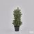 Umelá borovica v zelenom kvetináči, 40 cm