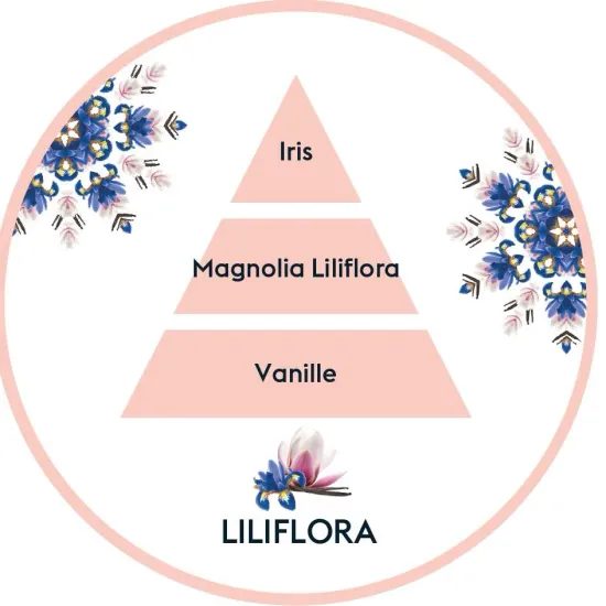 Maison Berger Paris - Dárková sada: Katalytická lampa Disco transparentní + Magnolie, 250ml