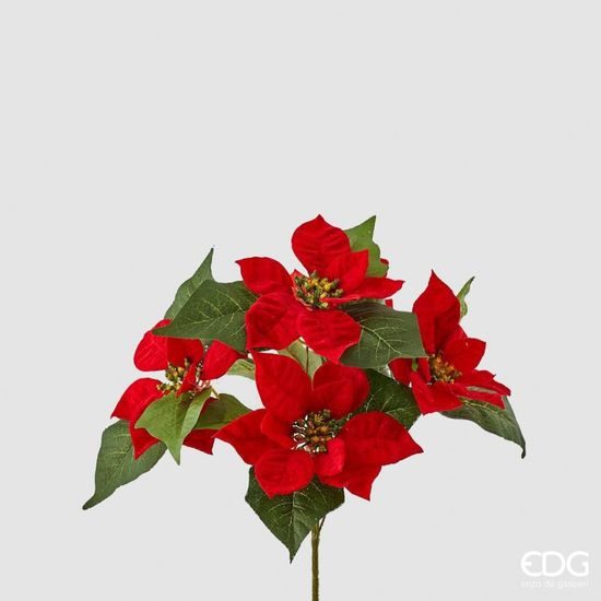 Větvička vánoční hvězda červená, 30 cm