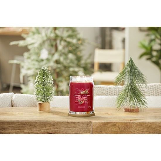 Yankee Candle - Signature vonná svíčka Sparkling Cinnamon , 567g