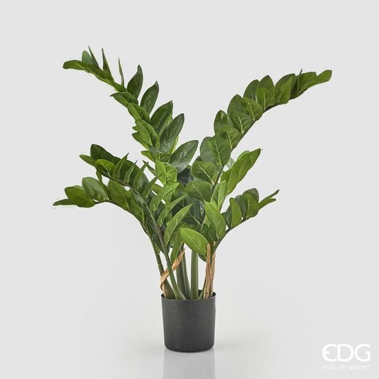 Umělá květina Zamioculcas v květináči, 110 cm