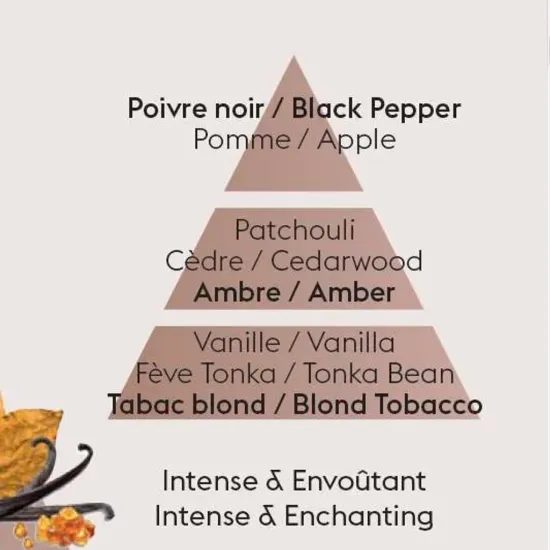 Maison Berger Paris - Aróma difuzér Cube, Jantárový tabak 100 ml