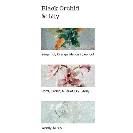 Cereria Mollá - Prémiové vonné tyčinky Black Orchid & Lily 20ks