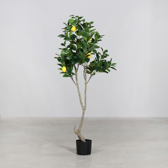 Umělý rostlina citronovník v černém květináči, 150 cm