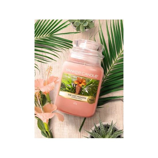 Yankee Candle - votívny sviečka The Last Paradise, 49 g