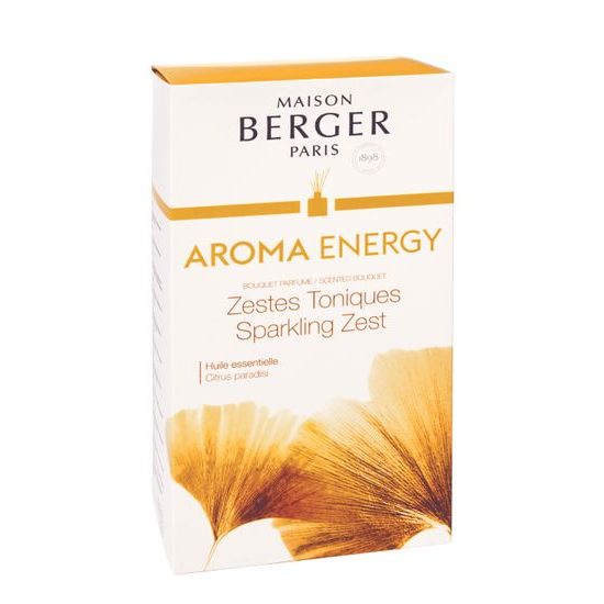 Maison Berger Paris - Difuzér s vrbovými tyčinkami Aroma Energy - Čerstvé tonikum, 180 ml