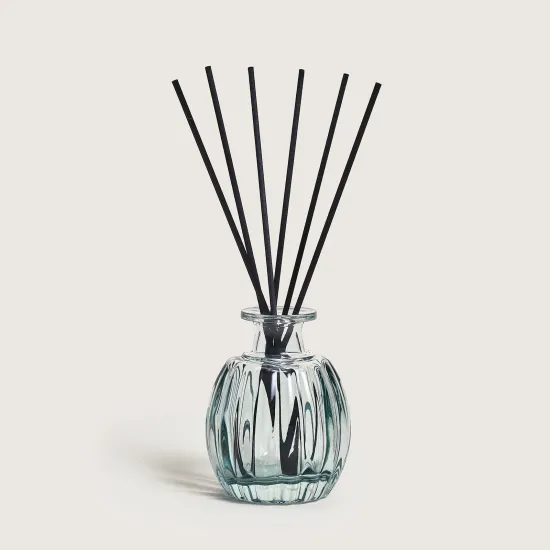 Maison Berger Paris - Mini aroma difuzér Corali zelený + Nebeská voda, 100 ml