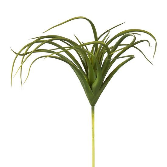 Tillandsia zelená, 25cm