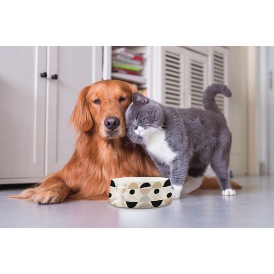 Porcelánová miska pre psov 20,5 cm Dogs Family v darčekovej krabici, Easy Life