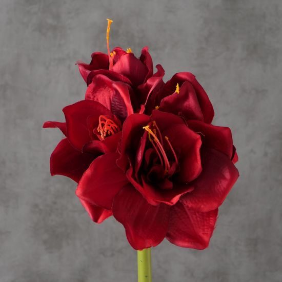 Kvetina Amarylis červená 71cm