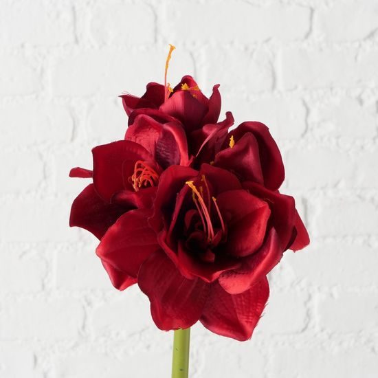 Květina Amarylis červená 71cm