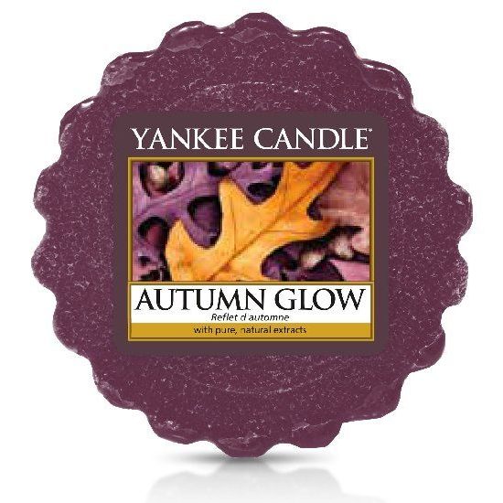 Yankee Candle vonný vosk Autumn Glow 22 g