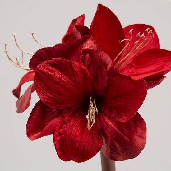 Umělá květina Amaryllis červený, 69  cm