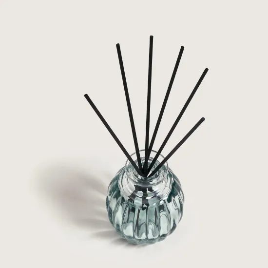Maison Berger Paris - Mini aroma difuzér Corali zelený + Nebeská voda, 100 ml