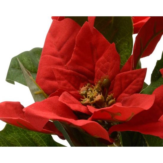 Vianočná hviezda červená v kvetináči, 27 cm