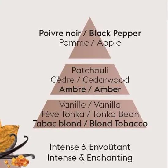 Maison Berger Paris - Náplň do katalytickej lampy Jantárový tabak, 500 ml